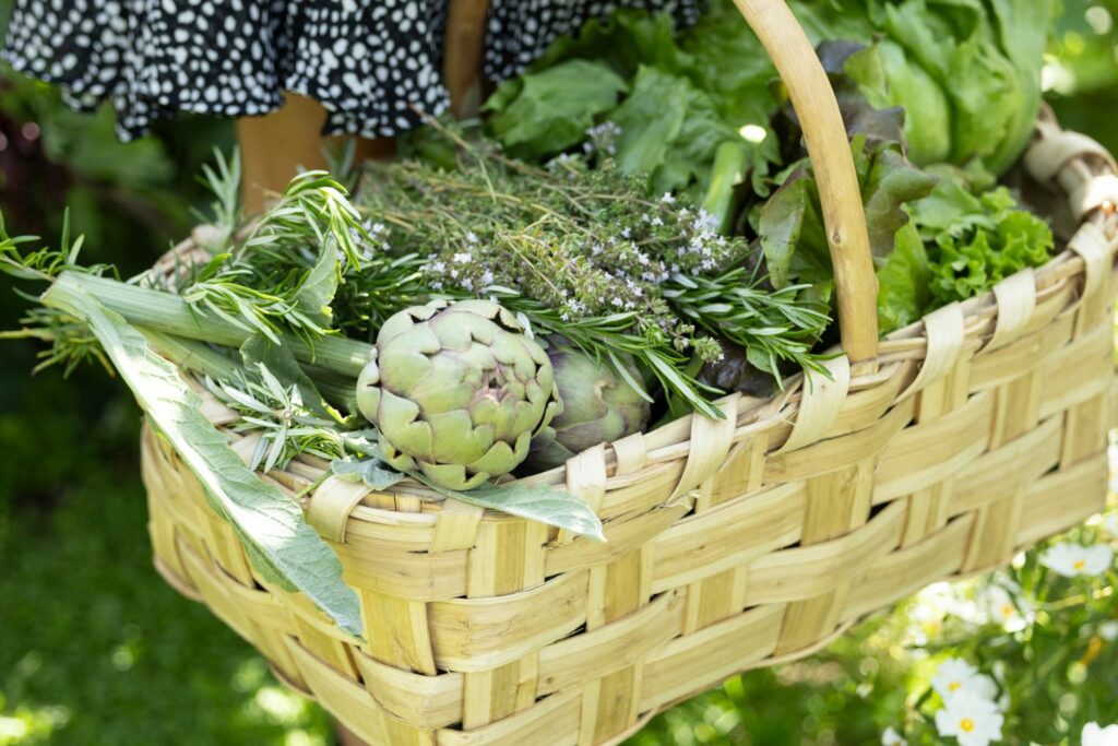 cestino di verdure prese dall'orto 