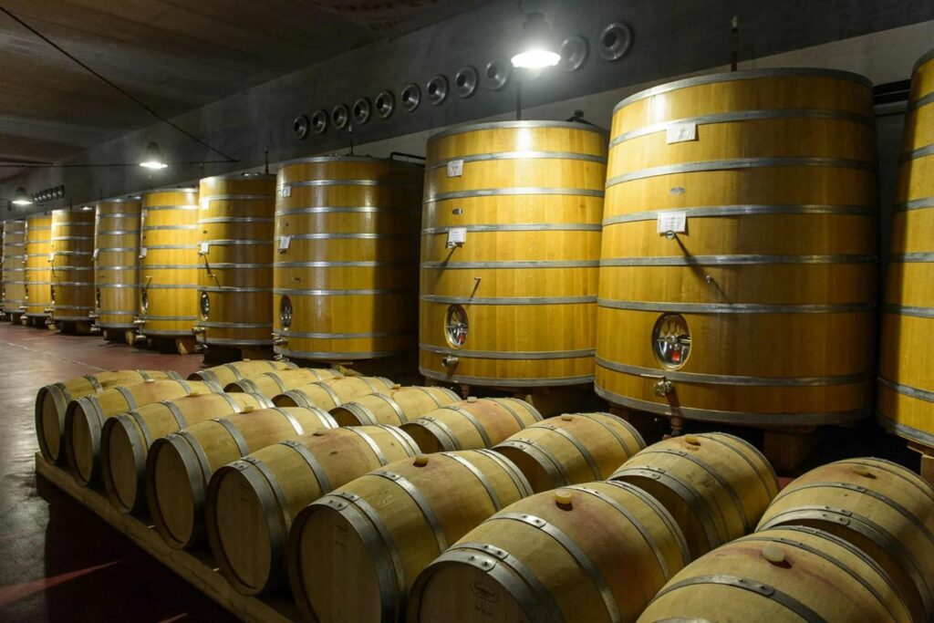 sala delle botti nella cantina la spinetta di Terricciola 